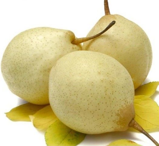 China Ya Pears, Ya Pear, Fresh Pear, Pears