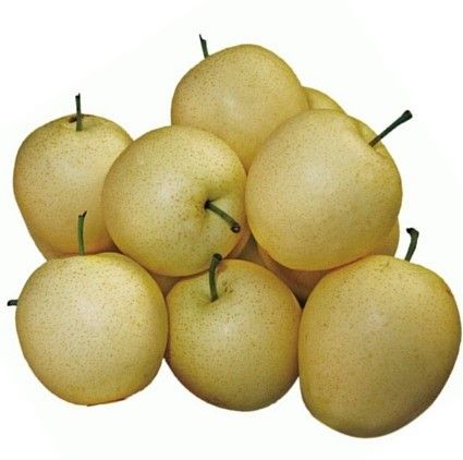 China Crown Pears, Crown Pear, Fresh Pear, Pears