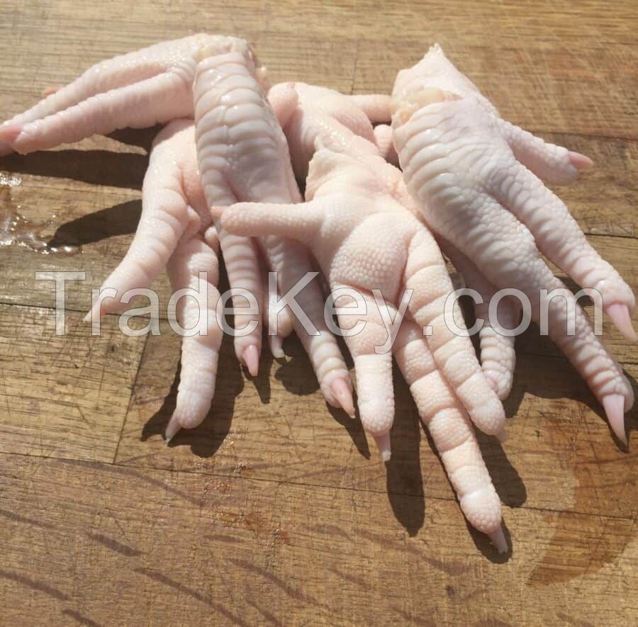 Grade A Chicken Feet / Frozen Chicken Paws Brazil/CHicken Wings