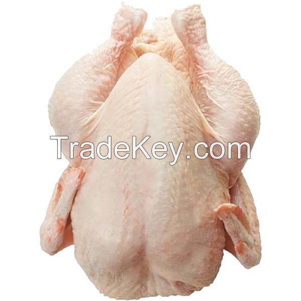 Good Quality Good Price frozen Boneless Skinless Halal chicken Breast Fillets