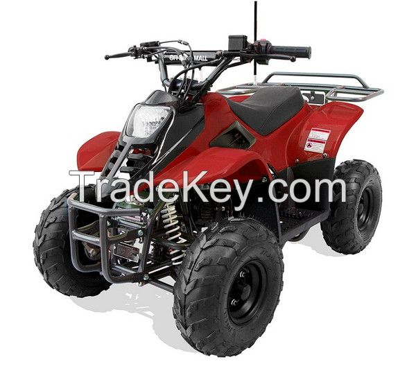 HAWK REX 110CC ATV, 6" Tire