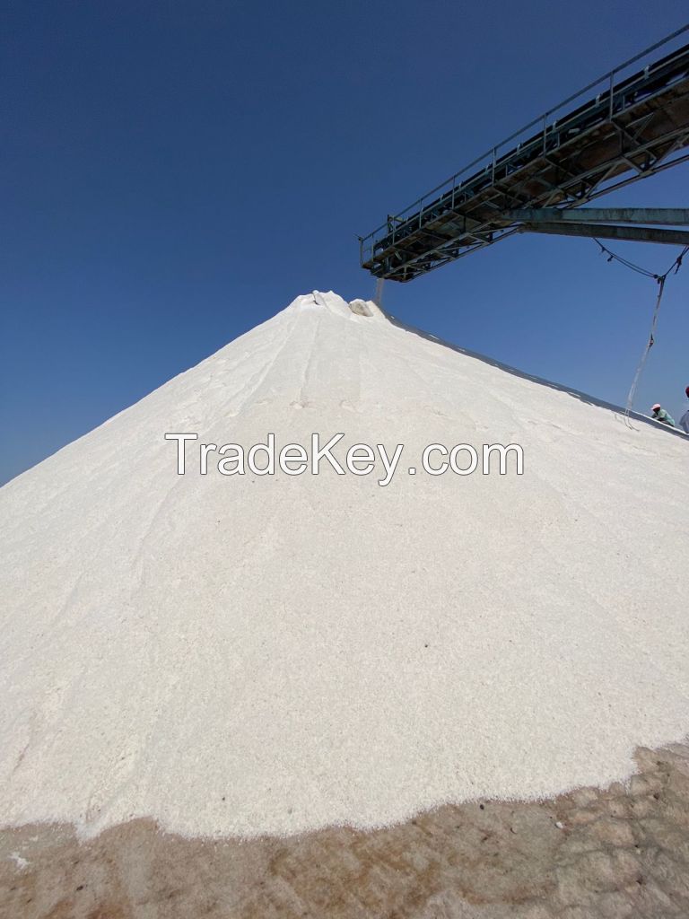 Washed Marine Industrial Salt Non-Iodized and Uncrushed