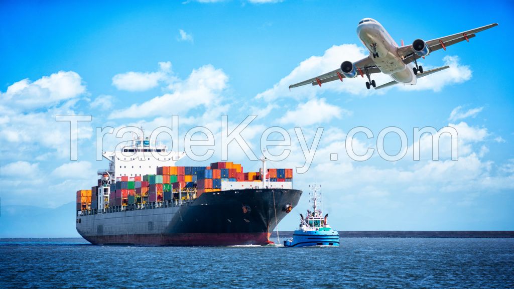 Cheap Sea Shipping Agent from China to USA Mexico Provide Logistic Services