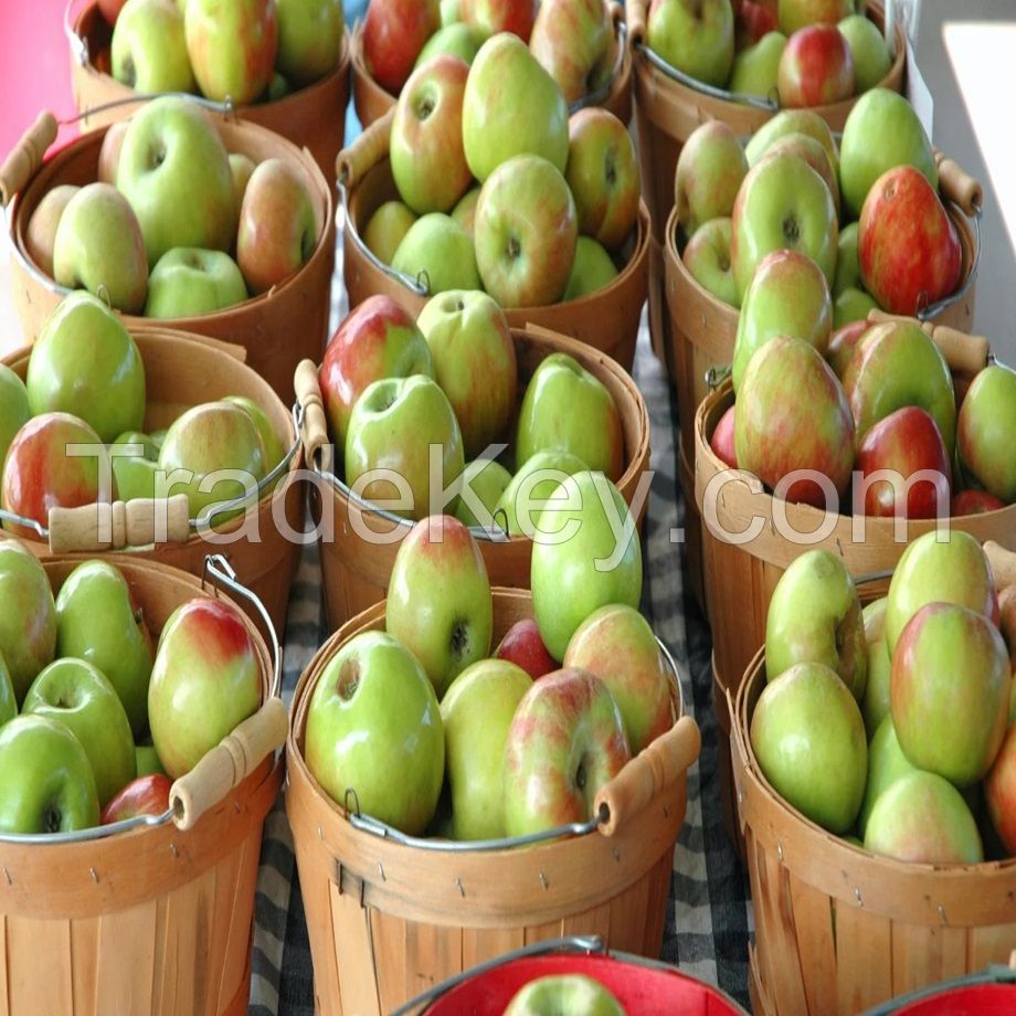 Buy Fresh Red Apple (Box) , Hot Sale Export Quality Fresh Apples New Crop Natural Gala Apple - Green Apple, 