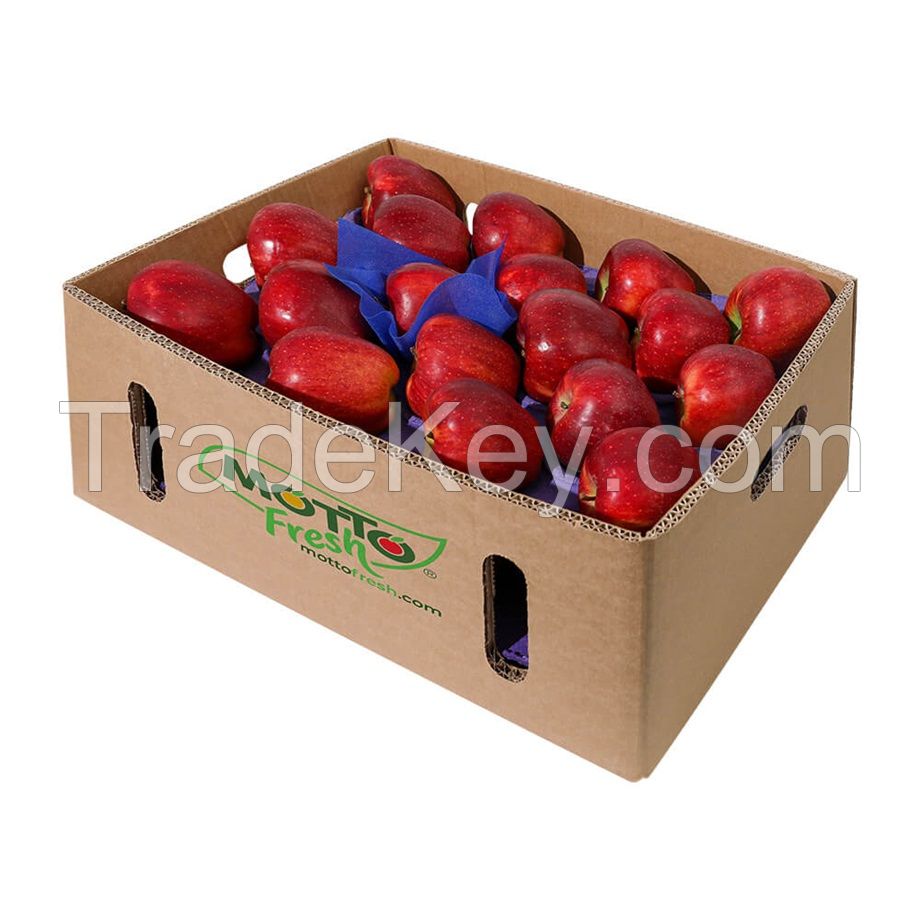 Discount price Fresh Apples Red Fuji Green Golden delicious Apples, Royal Gala Apples, Granny Smith Fresh Apples Price