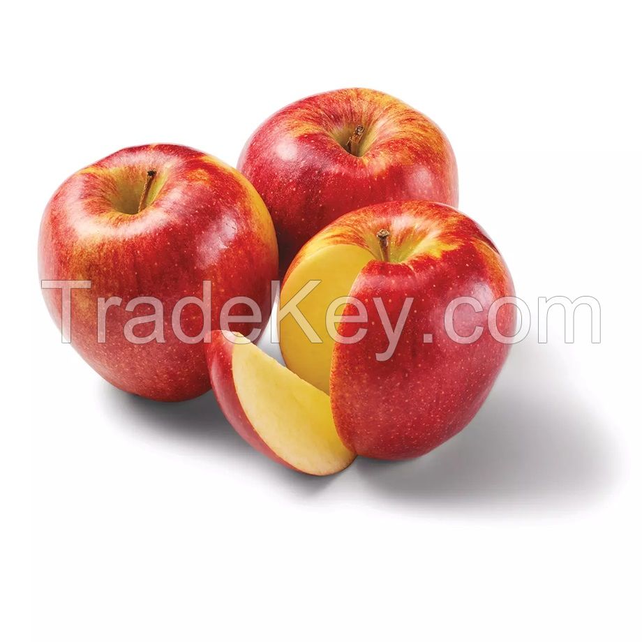 Discount price Fresh Apples Red Fuji Green Golden delicious Apples, Royal Gala Apples, Granny Smith Fresh Apples Price