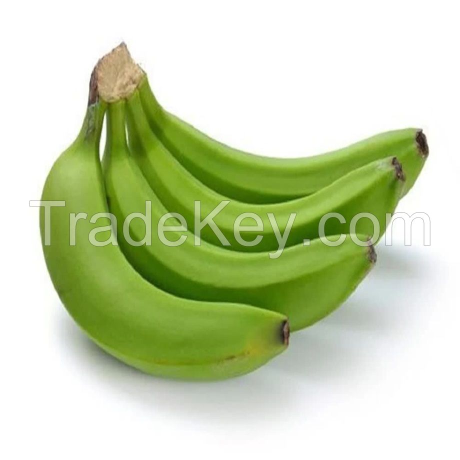 Cavendish Banana Best Quality Premium Grade Common Cultivation Type Wholesale 100% Natural Fresh Bananas