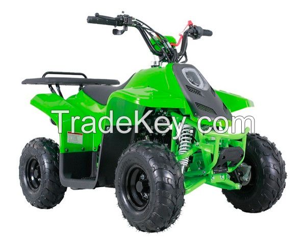 Taotao Rock 110 ATV With Reverse