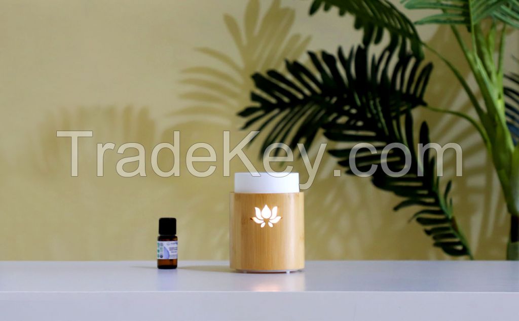 Aroma diffuser Padma aromatherapy LX-14 for essential oils