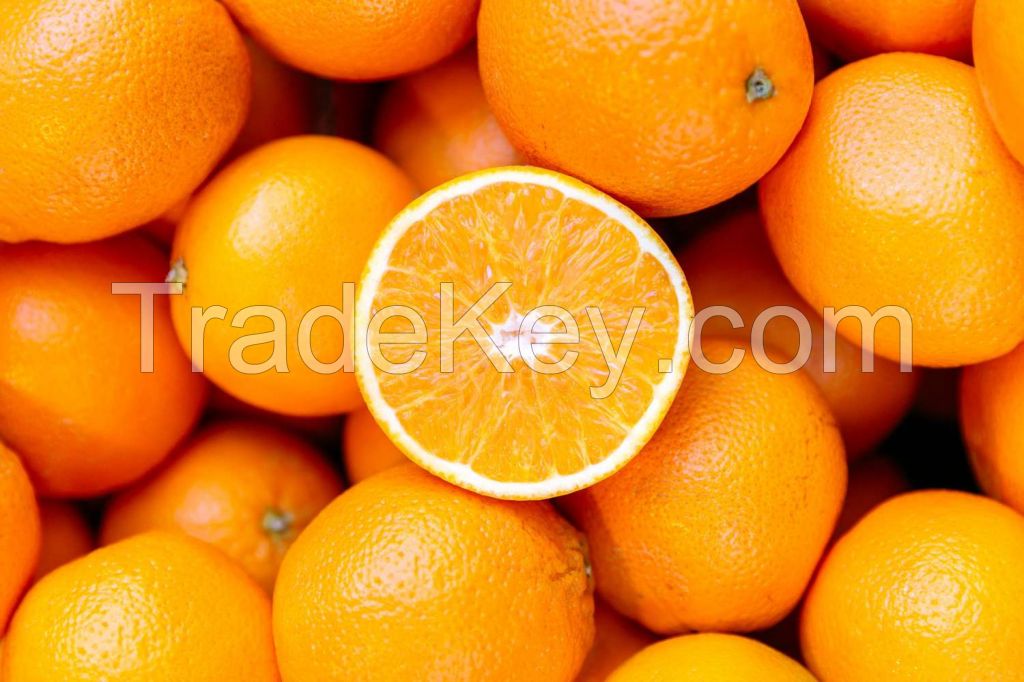 Fresh Oranges from the USA - Valencia Oranges, Navel Oranges, Mandarin and Tangerine