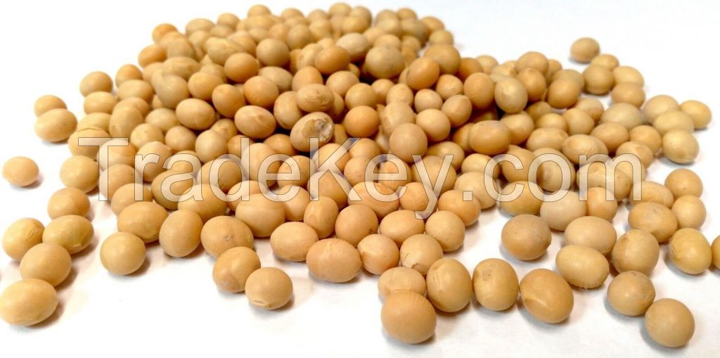 Soybeans / Soyabean - Non Gmo Organic Yellow Soybeans - USA Origin.