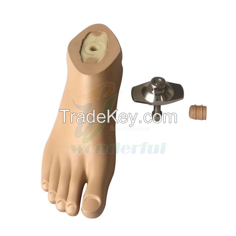 Waterproof and Non-Slip Sach Foot With Plastic Core and Adapter