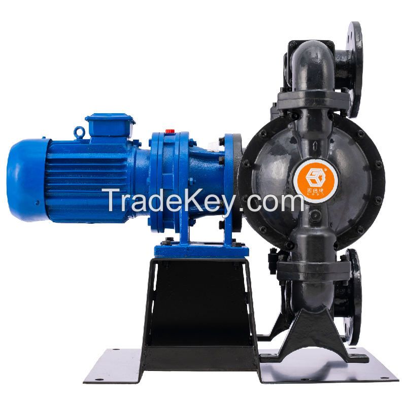 double diaphragm water pump