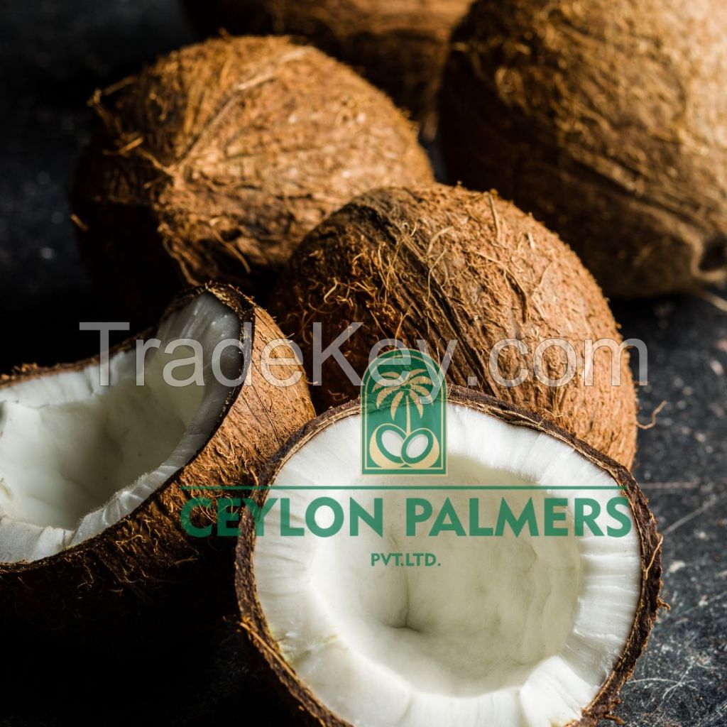 Fresh Coconut / Semi Husked Coconut