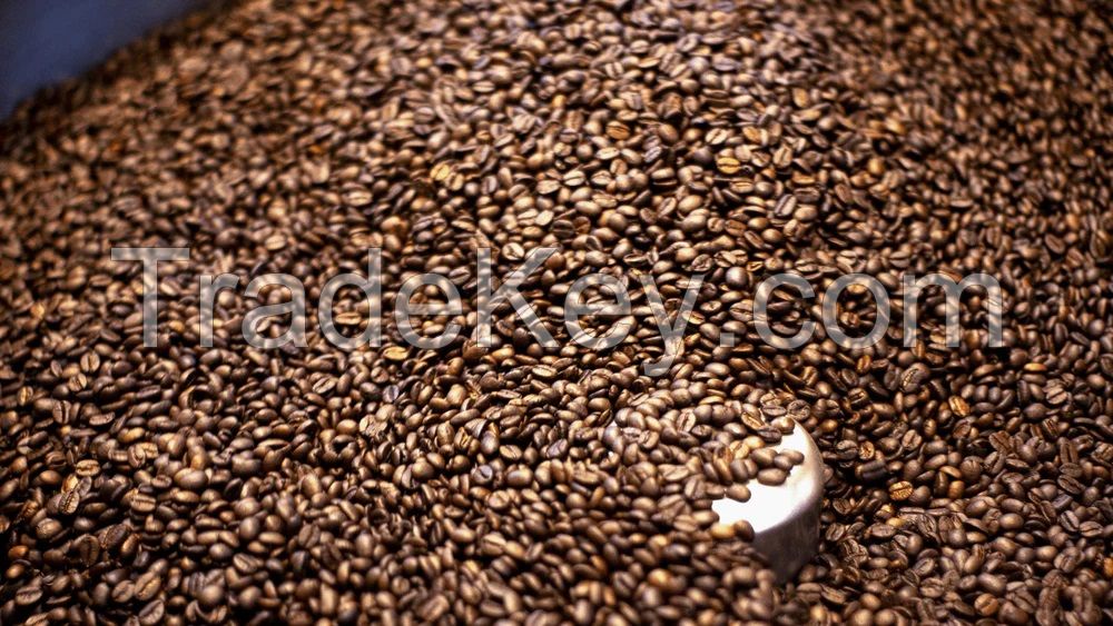 Roasted Arabica Coffee beans        Best quality        Origin from Spain