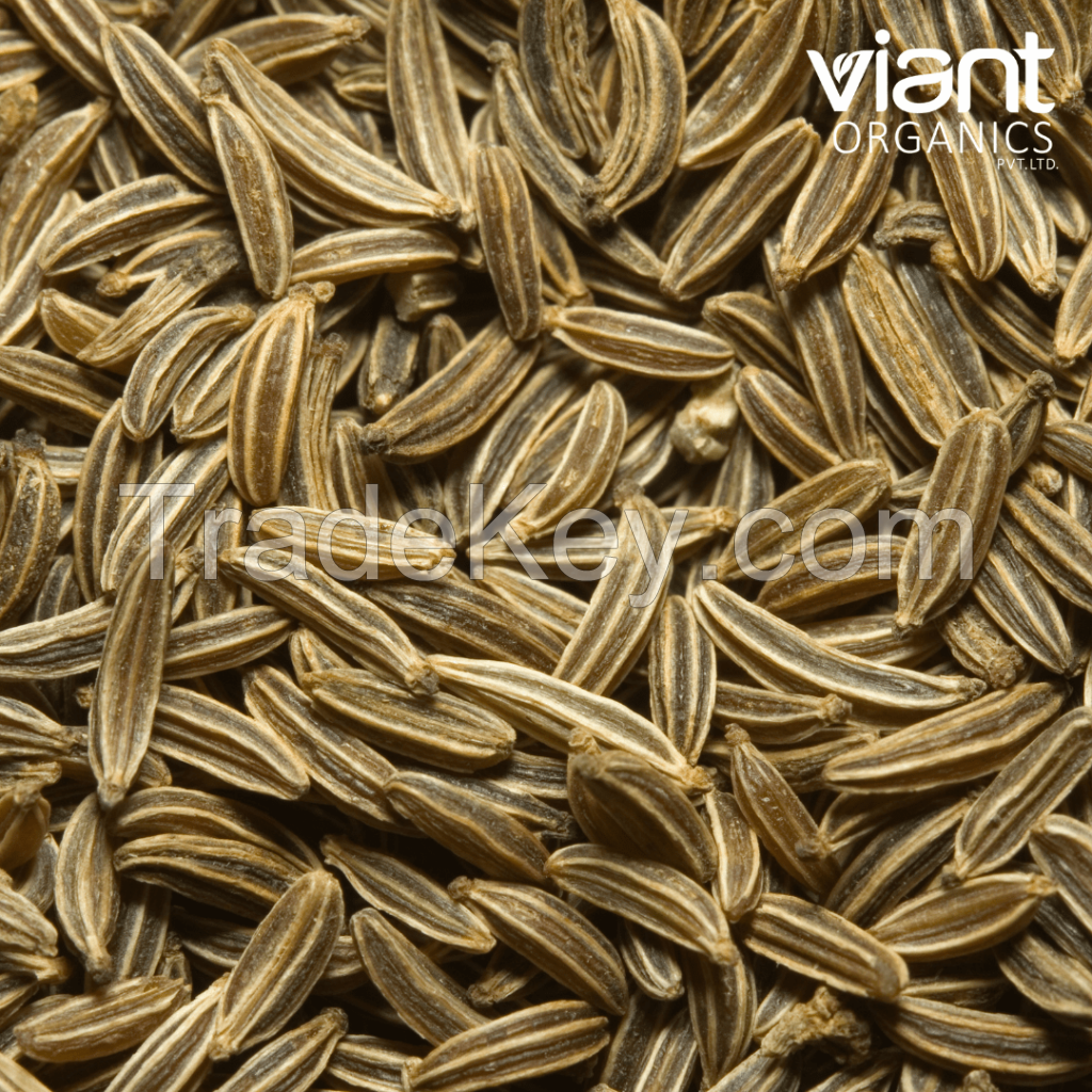 Organic Cumin Seeds