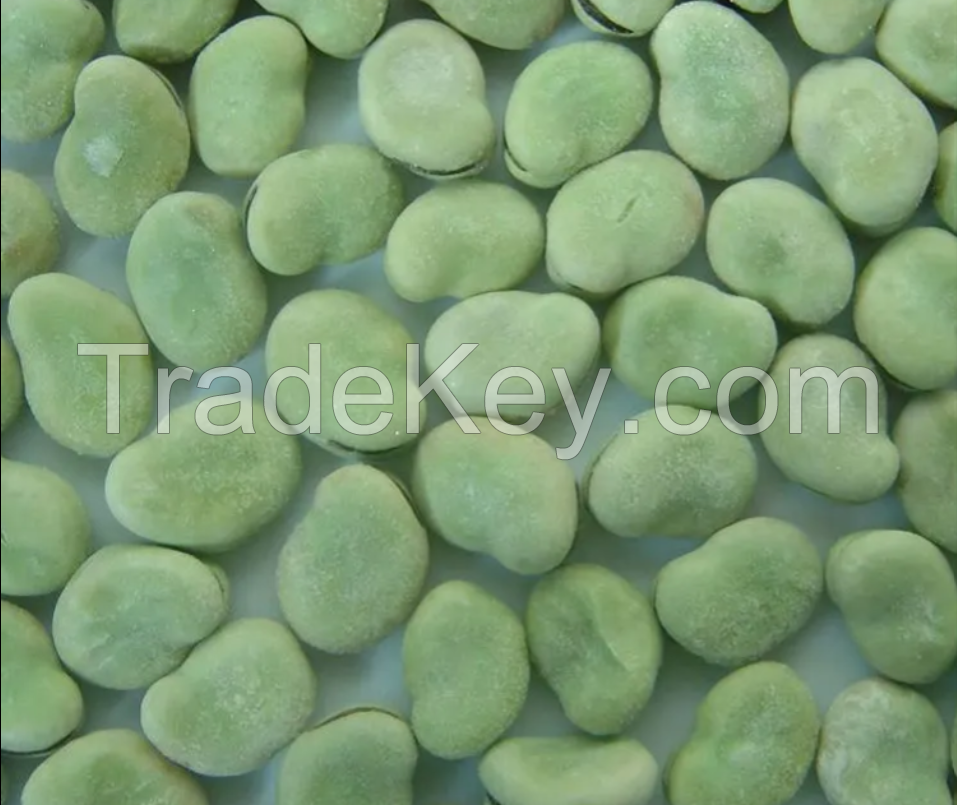 IQF Fresh Frozen Fava Peeled Broad Bean