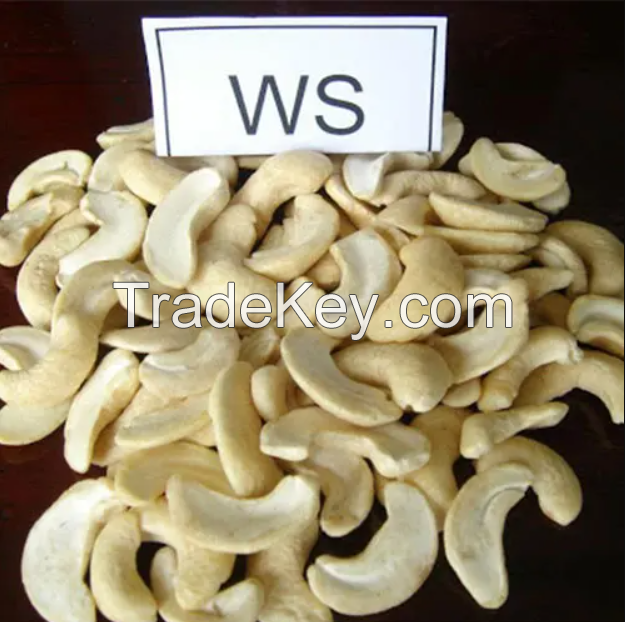 Raw Cashew Nuts W320 W240 with High Quality