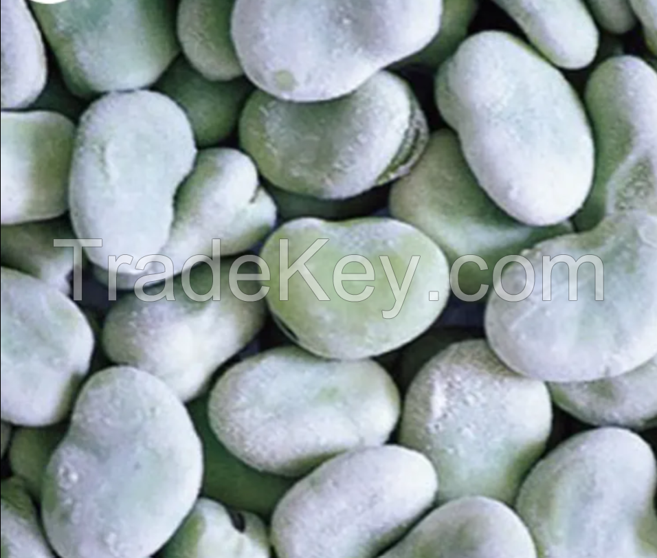 IQF Fresh Frozen Fava Peeled Broad Bean