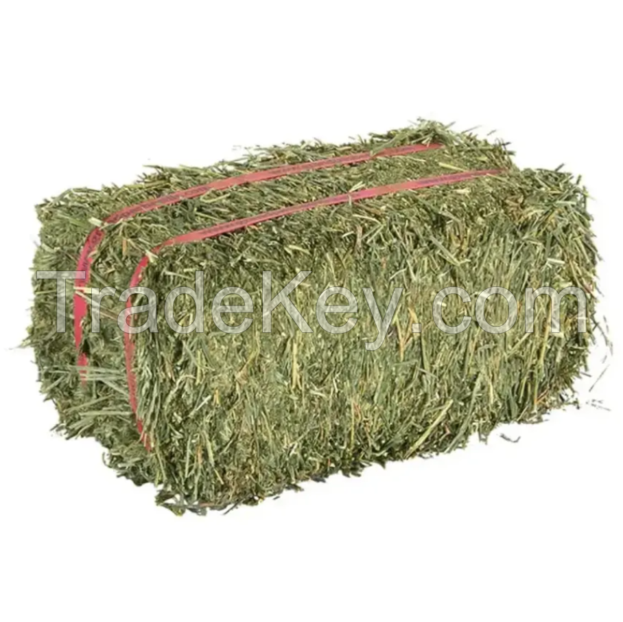 High Quality Alfafa Hay Feed, Timothy Hay Grass, Orchard Grass Hay for Sale