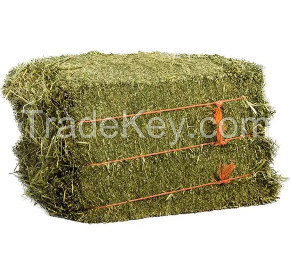 High Quality Alfafa Hay Feed, Timothy Hay Grass, Orchard Grass Hay for Sale