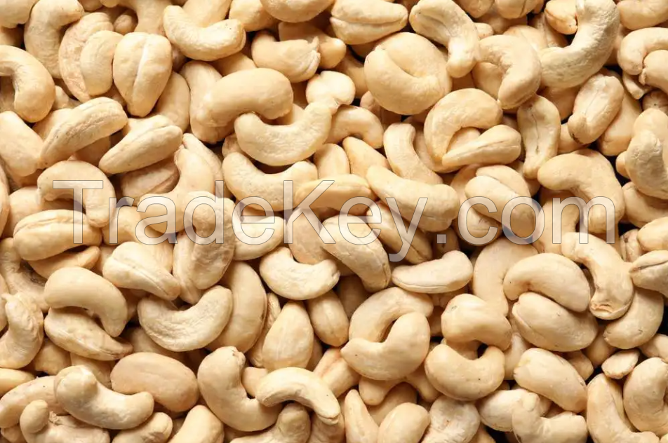 Raw Cashew Nuts W320 W240 With High Quality