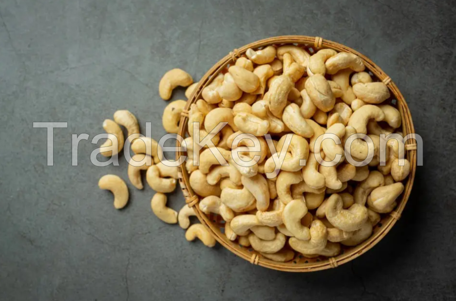 Raw Cashew Nuts W320 W240 with High Quality