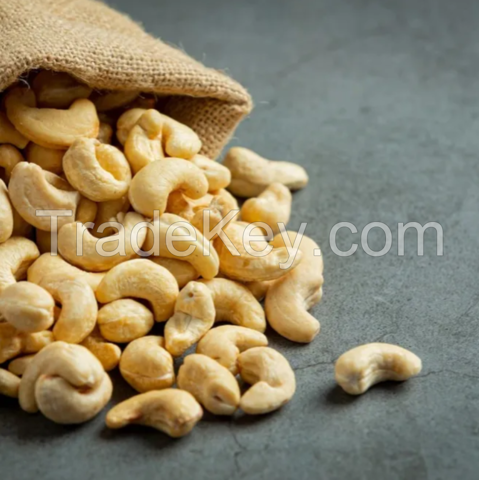 Raw Cashew Nuts W320 W240 with High Quality