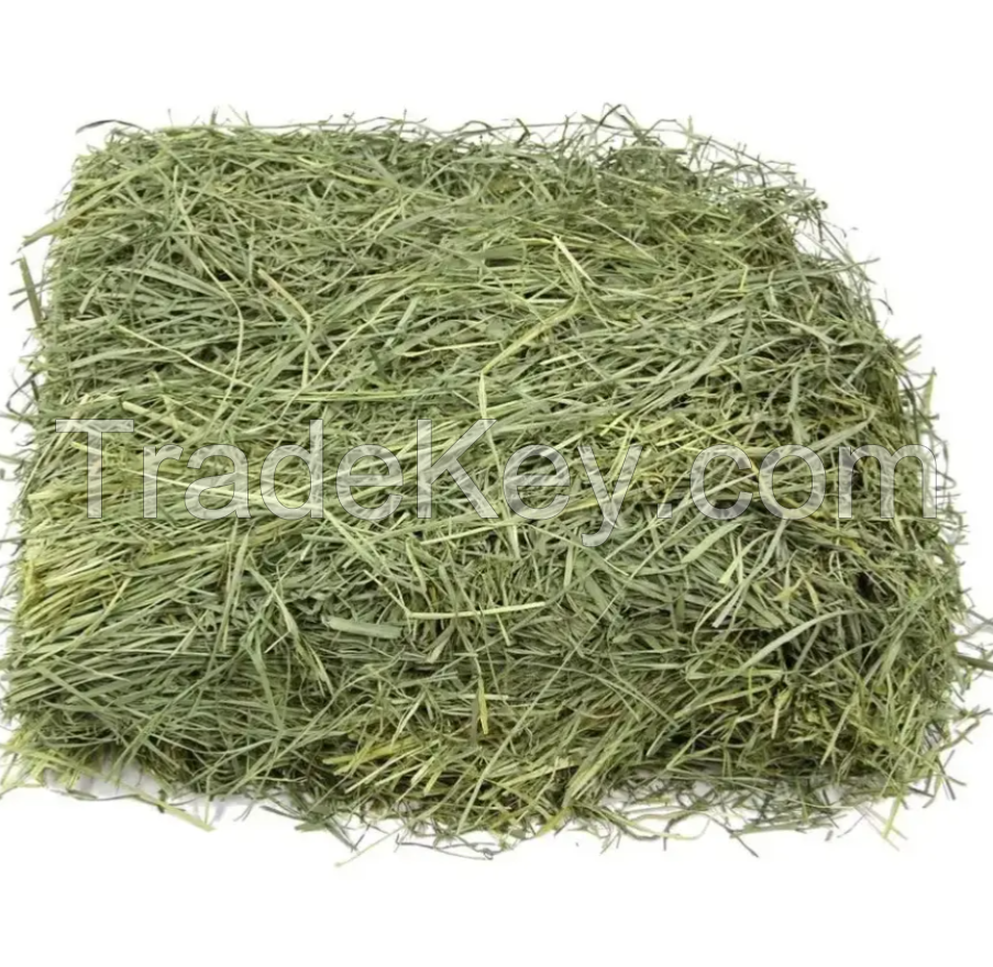 High Quality Alfafa Hay Feed, Timothy Hay Grass, Orchard Grass Hay for Sale