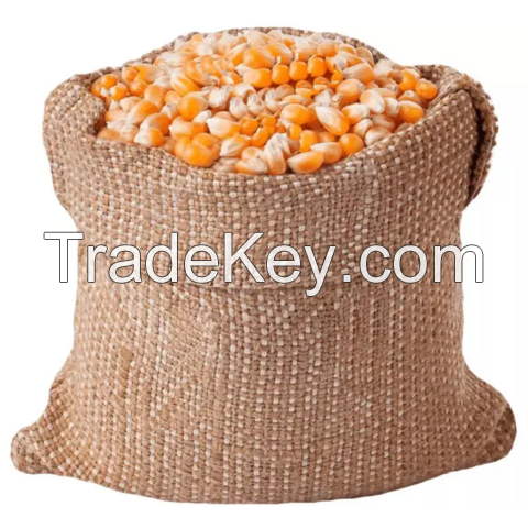 Yellow Corn and White Corn Maize for sale/ Animal feed corn at export price
