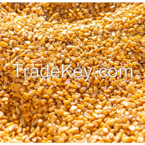 Agricultural Product Bulk Grain White Dry Corn Dried Maize Dry White Corn with Competitive Price Animal and Human Consumption