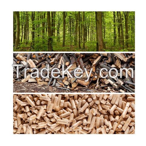 Manufacturer Pine Fuel Pellets 6-8 Mm Eco Friendly Solid Fuel Wood Pellets