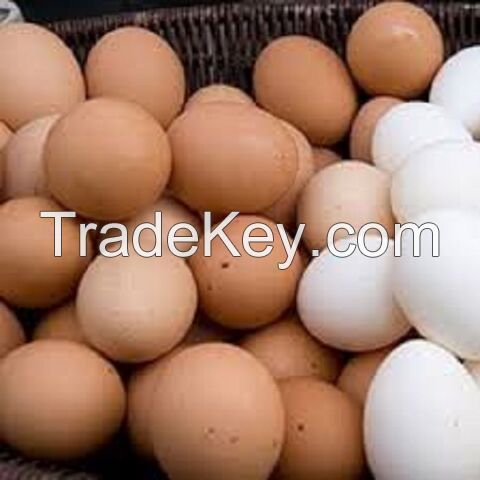 Wholesale Fresh Table Chicken Eggs With Cheap Price/ Quality fertilized Fresh Table Chicken Eggs For Sale In Bulk