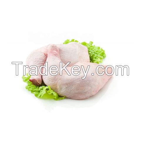 Frozen Premium Quality Chicken Leg Supplier High Quality Chicken Leg Bulk Supply