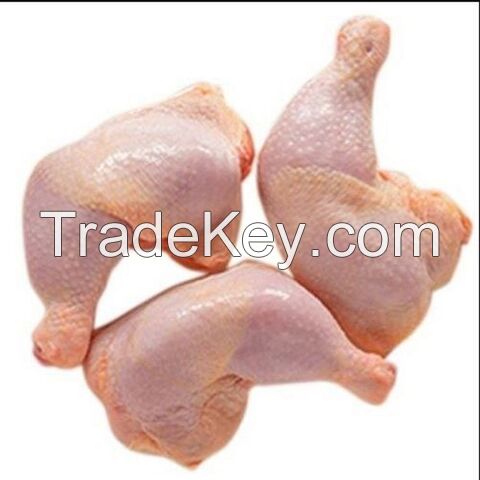 Frozen Premium Quality Chicken Leg Supplier High Quality Chicken Leg Bulk Supply