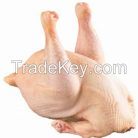 Grade A HALAL Frozen whole chicken