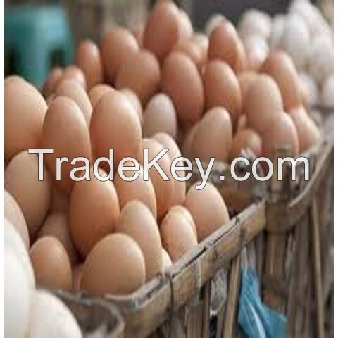 Buy Brown/White Chicken Table Eggs With Delicious Taste, Bulk Farm Fresh Chicken Table Eggs Quality Cheap In Stock Fair Price