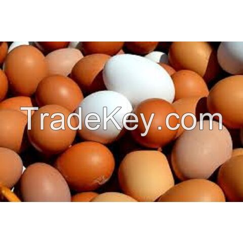 Wholesale Fresh Table Chicken Eggs With Cheap Price/ Quality fertilized Fresh Table Chicken Eggs For Sale In Bulk