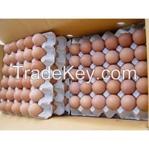 Wholesale Fresh Table Chicken Eggs With Cheap Price/ Quality fertilized Fresh Table Chicken Eggs For Sale In Bulk