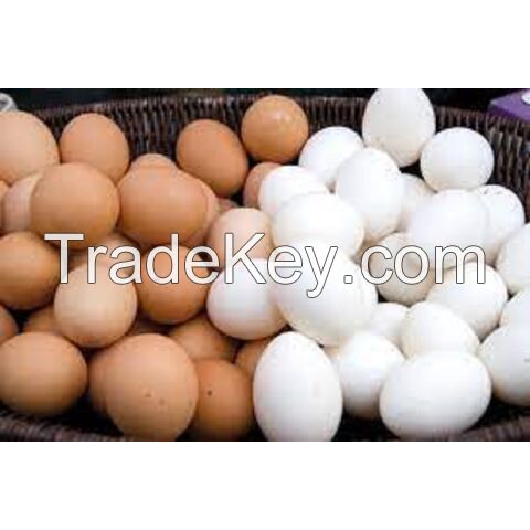 Factory Discount Sale Delicious Farm Fresh Chicken Table Eggs White and Brown For Sale In Stock