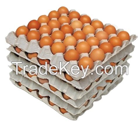 Fresh And Fertile Chicken Eggs