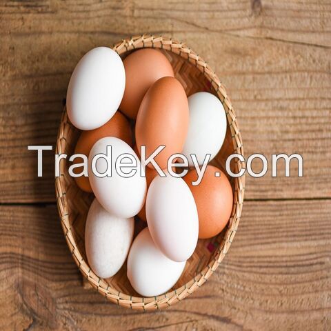 Buy Brown/White Chicken Table Eggs With Delicious Taste, Bulk Farm Fresh Chicken Table Eggs Quality Cheap In Stock Fair Price