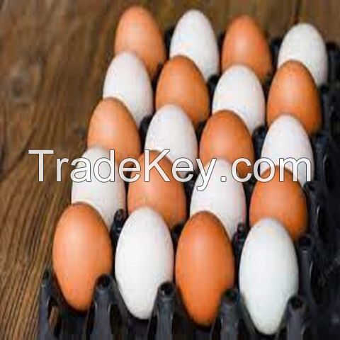 Buy Brown/White Chicken Table Eggs With Delicious Taste, Bulk Farm Fresh Chicken Table Eggs Quality Cheap In Stock Fair Price