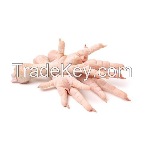 Bulk Stock Available Of Halal Frozen Chicken Feet | Frozen Chicken Meat At Wholesale Prices