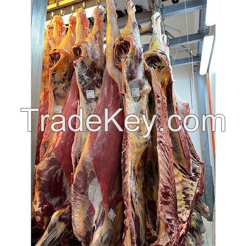 Halal Frozen Beef Carcass / Frozen beef feet / Frozen beef Head
