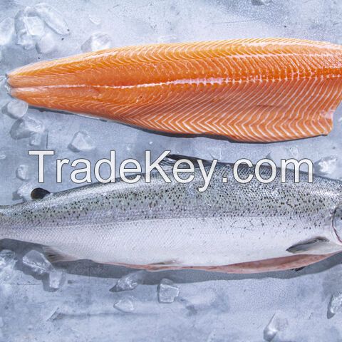 New harvest Norwegian Atlantic Salmon Fillet Whole Round Fresh Fish Pink Salmon Chum Salmon Fillet