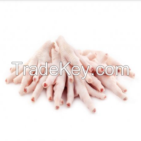 Wholesale Supplier of Natural Quality Halal Frozen Chicken Feet | Frozen Chicken Bulk Quantity Ready For Export