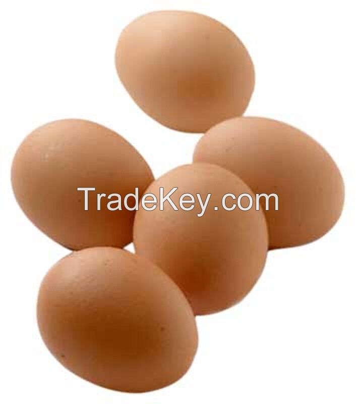 Fertilized Chicken Eggs/ Cobb 500 Broiler Chicken Eggs/Fresh Cobb 700 Fertile eggs, Fresh table eggs for sale