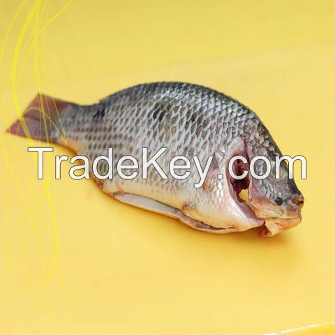Frozen Tilapia Fish the best selling fish that has a savory taste without scales and guts.Sea Food W/R Tilapia Black Tilapia Fish