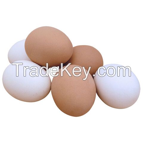 Quality fertilized Fresh Brown/White Table Chicken Eggs / White and brown table eggs for sale 